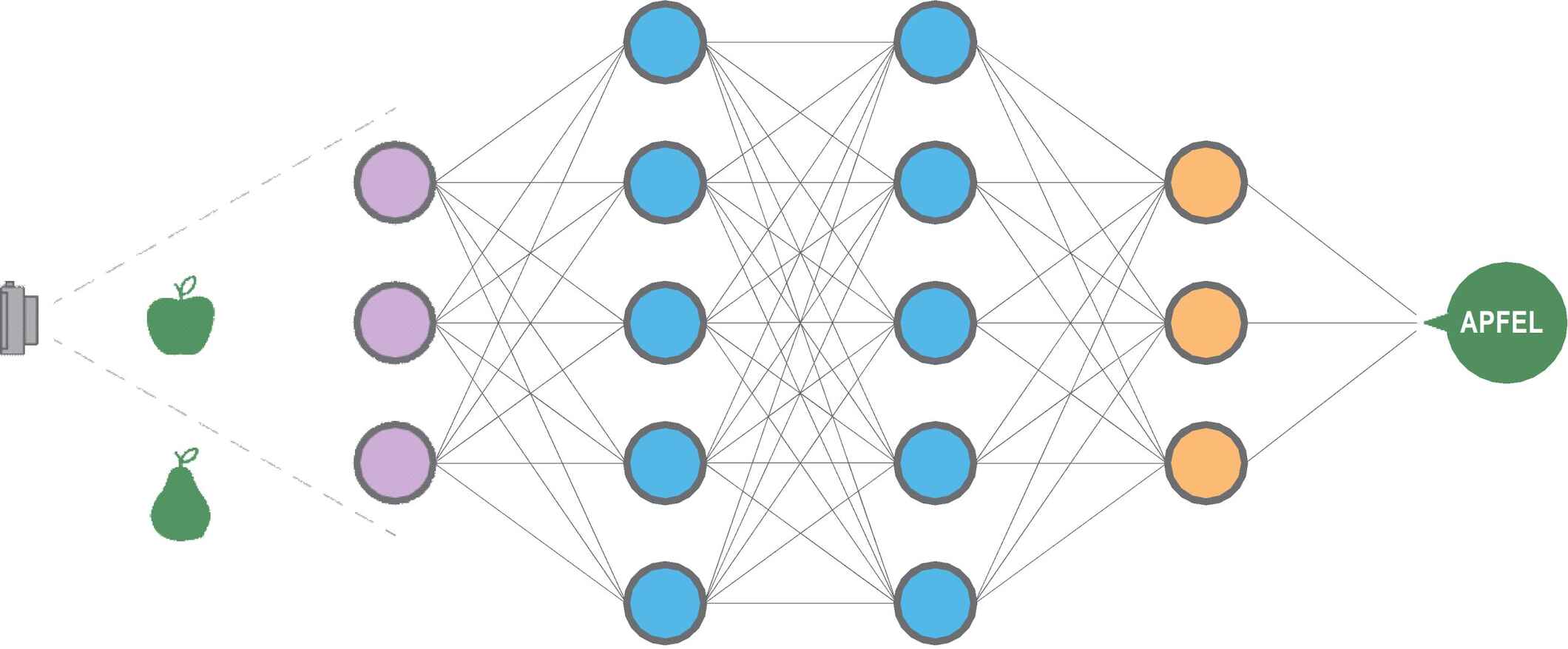 The structure of neural networks remotely resembles that of the human brain. They are capable of learning thanks to their networked ›neurons.‹ If a programmer successively shows the network many thousands of photos of different apples and pears, it will also be able after the conclusion of training to distinguish apples and pears in unfamiliar photos.