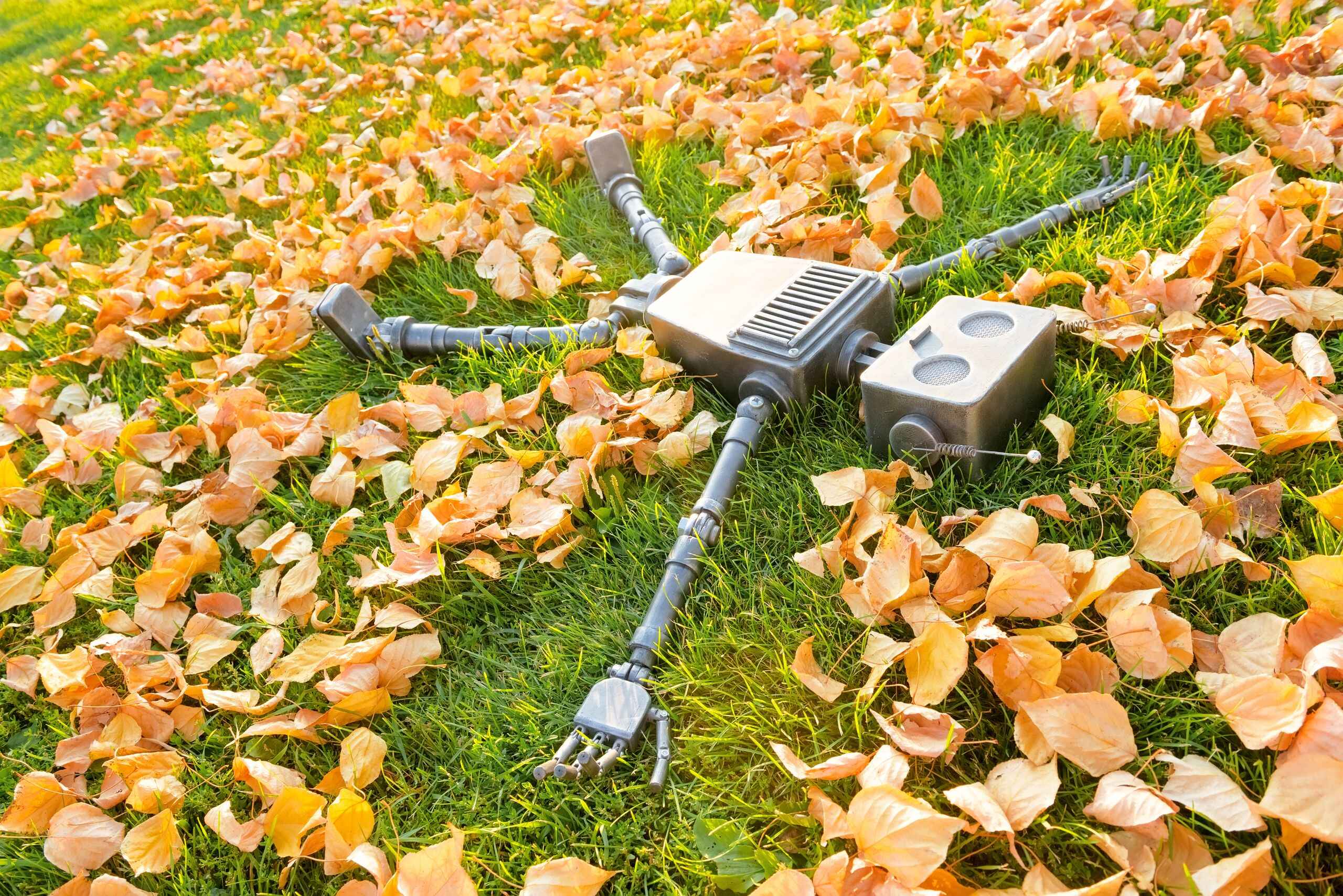 Happy humanoid robot lies on the autumn grass.